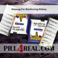 Ginseng For Reinforcing Kidney 501