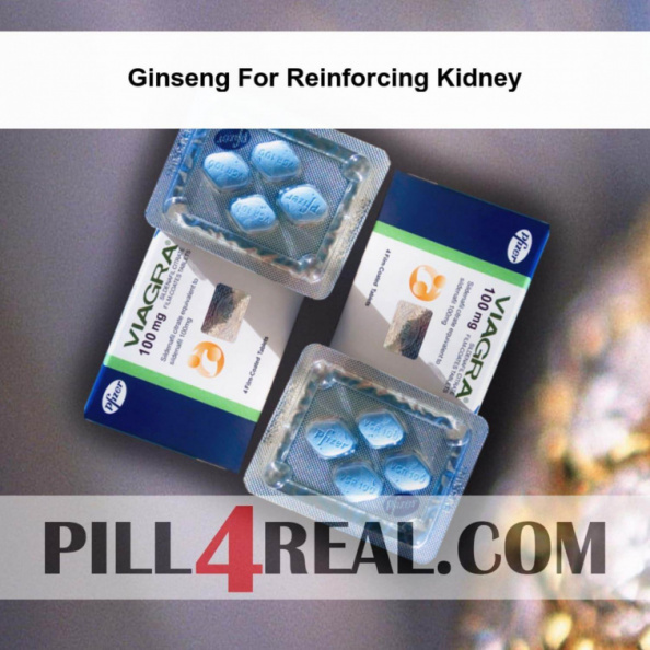 Ginseng For Reinforcing Kidney 519