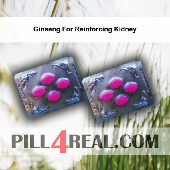 Ginseng For Reinforcing Kidney 842