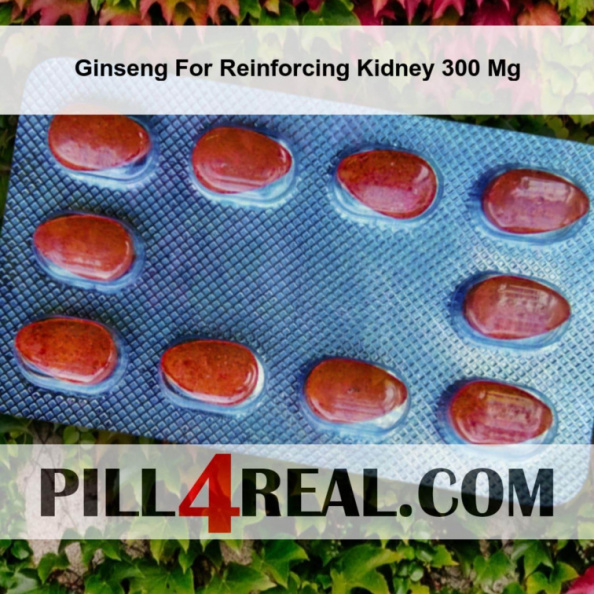 Ginseng For Reinforcing Kidney 300 Mg 213