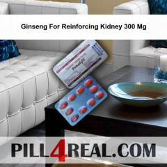 Ginseng For Reinforcing Kidney 300 Mg 303