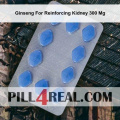 Ginseng For Reinforcing Kidney 300 Mg 384