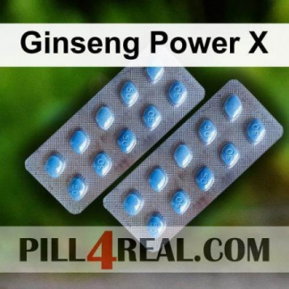 Ginseng Power X 015