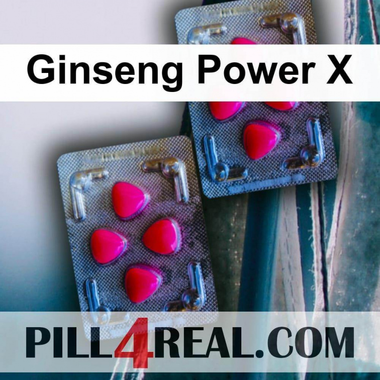 Ginseng Power X 028