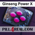 Ginseng Power X 074
