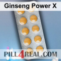 Ginseng Power X 098