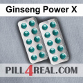 Ginseng Power X 102