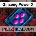 Ginseng Power X 176