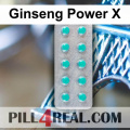 Ginseng Power X 230