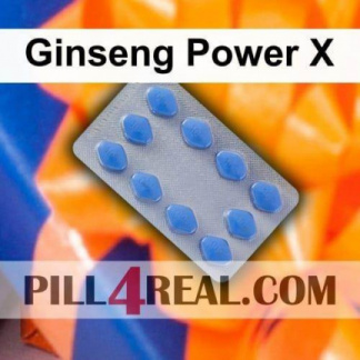 Ginseng Power X 231