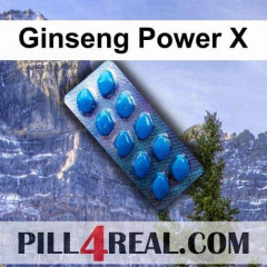 Ginseng Power X 237