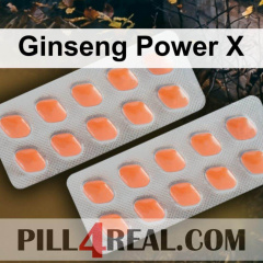 Ginseng Power X 338