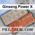 Ginseng Power X 344