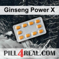 Ginseng Power X 380