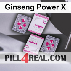 Ginseng Power X 402