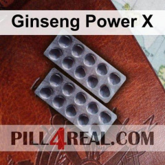 Ginseng Power X 413