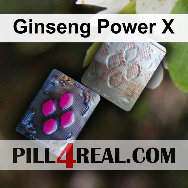 Ginseng Power X 414
