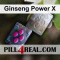 Ginseng Power X 414