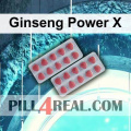 Ginseng Power X 421