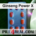 Ginseng Power X 497