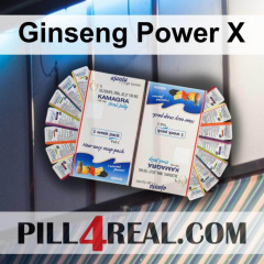 Ginseng Power X 539