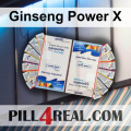 Ginseng Power X 539