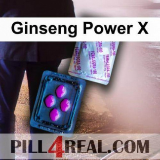 Ginseng Power X 577