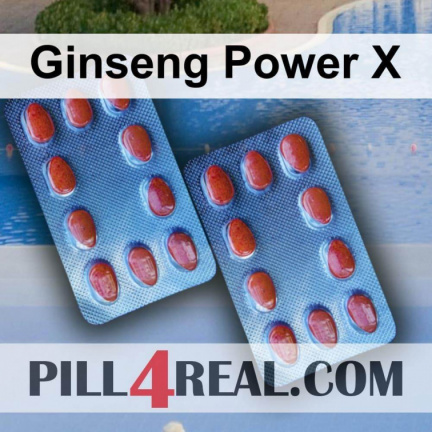 Ginseng Power X 597