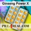 Ginseng Power X 620