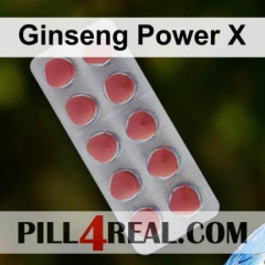 Ginseng Power X 623
