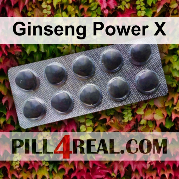 Ginseng Power X 665
