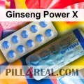 Ginseng Power X 708
