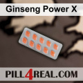 Ginseng Power X 779