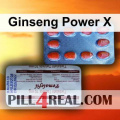 Ginseng Power X 783