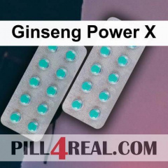 Ginseng Power X 854