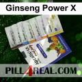 Ginseng Power X 868