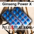 Ginseng Power X 961