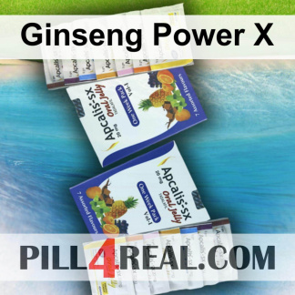 Ginseng Power X 977