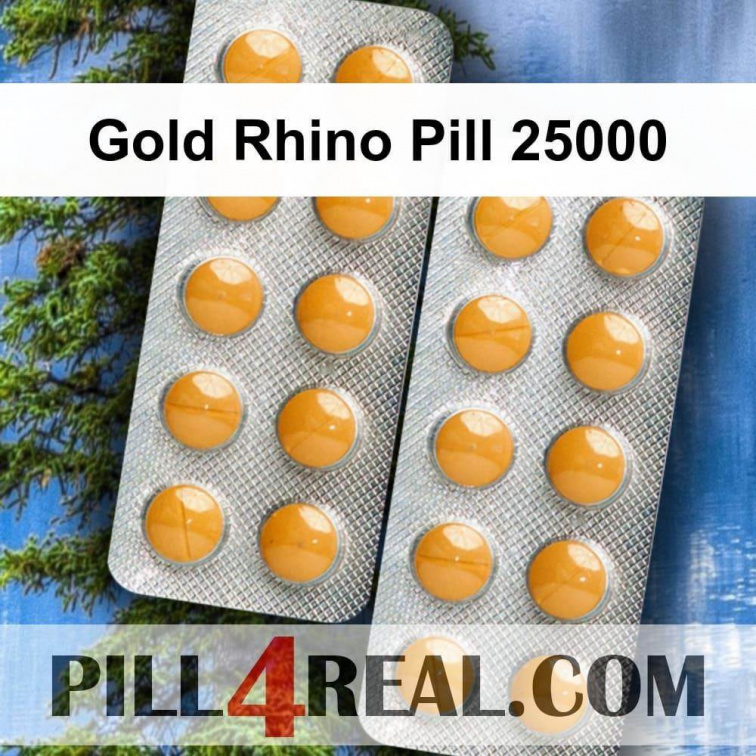 Gold Rhino Pill 25000 811