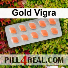Gold Vigra 121