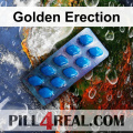 Golden Erection 068