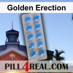 Golden Erection 206