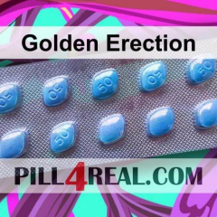 Golden Erection 220