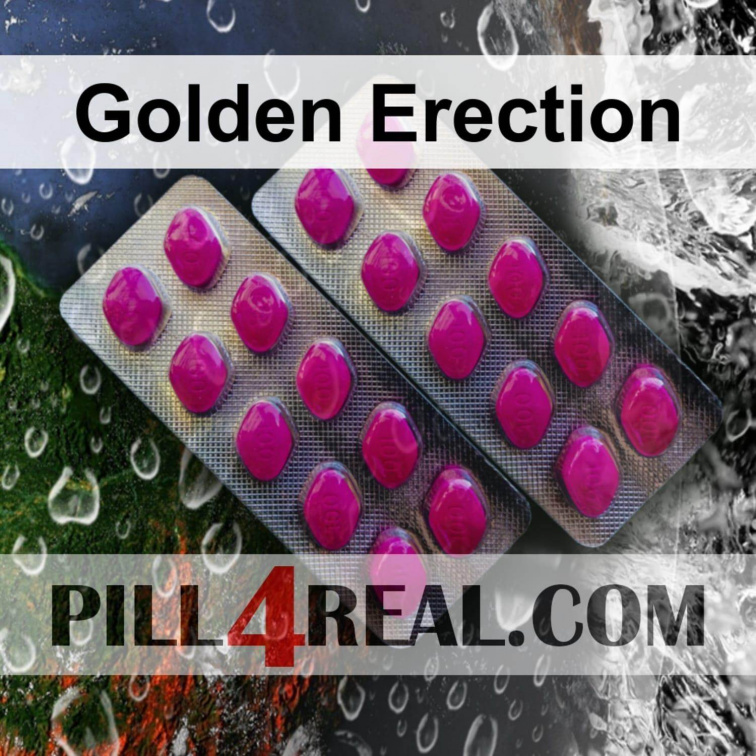 Golden Erection 363