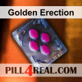 Golden Erection 407