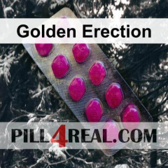 Golden Erection 502
