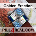 Golden Erection 558