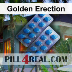 Golden Erection 565