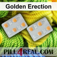 Golden Erection 864