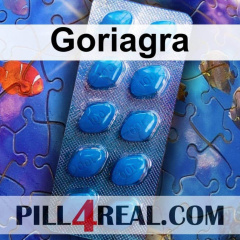 Goriagra 128